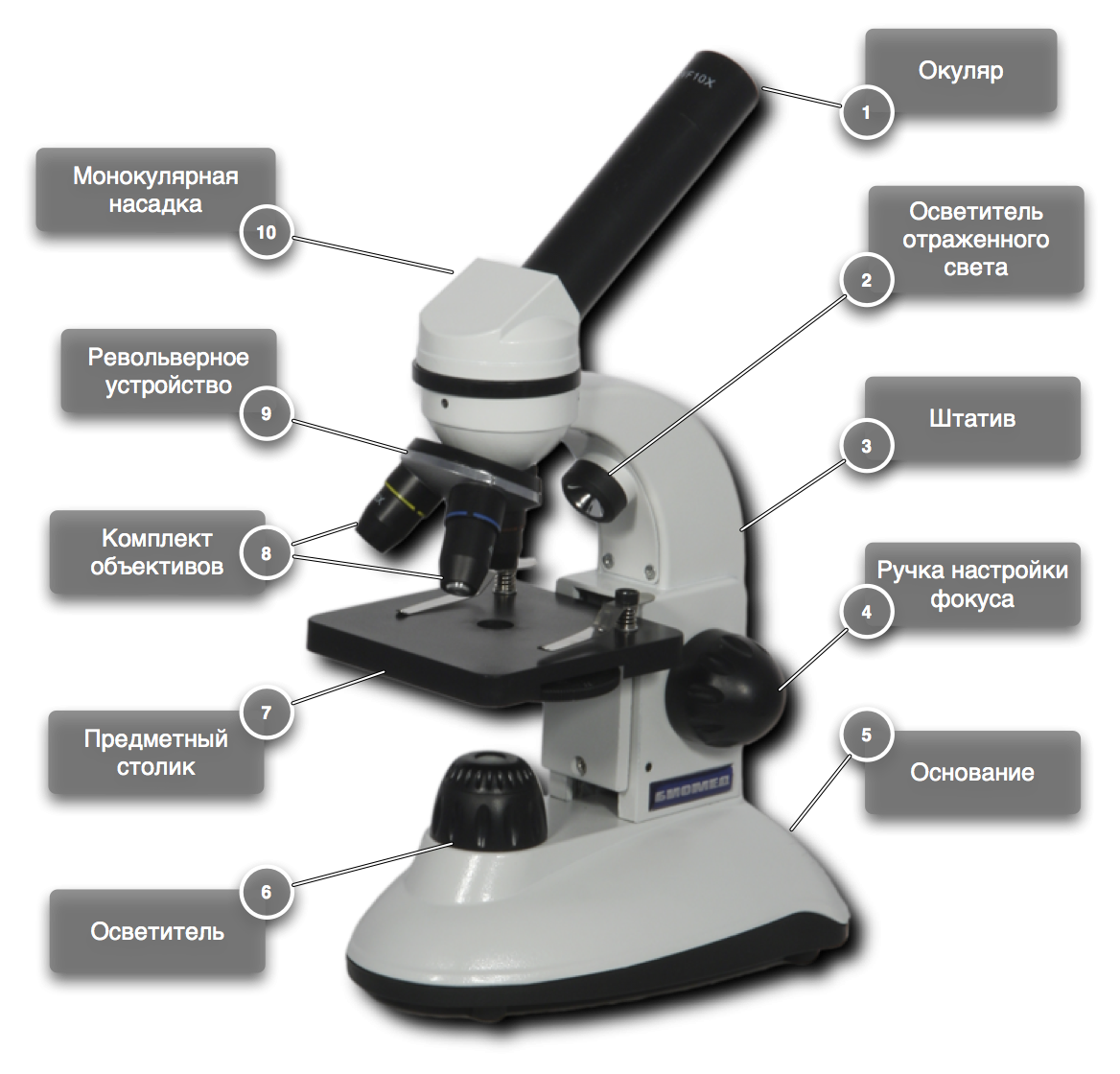 Микроскоп tuzilishi