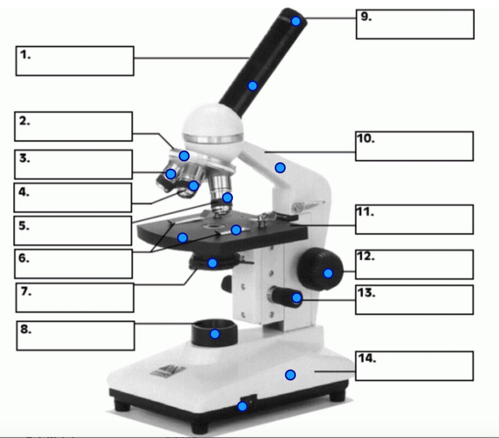 Микроскоп части микроскопа название св электрический