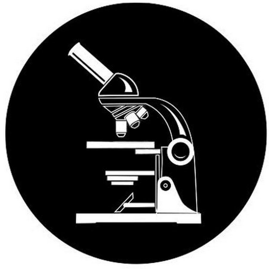 Зарисовать строение микроскопа