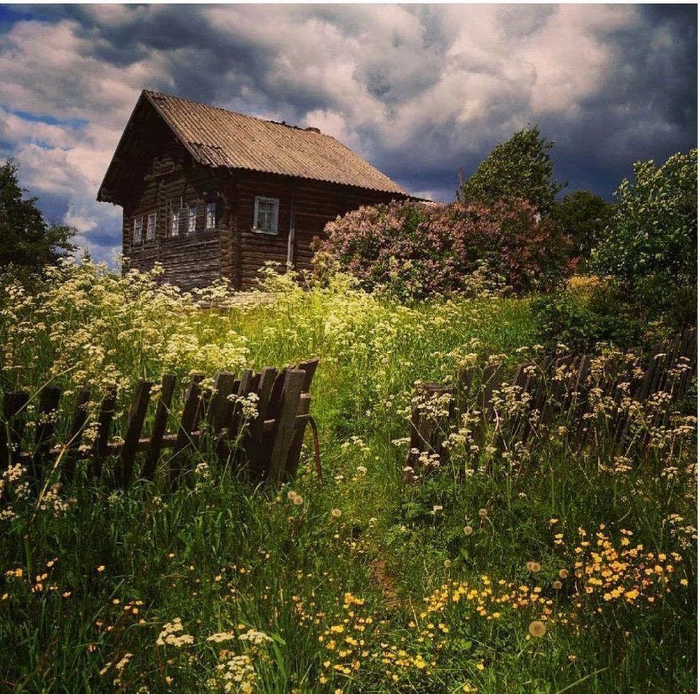 Деревенский пейзаж