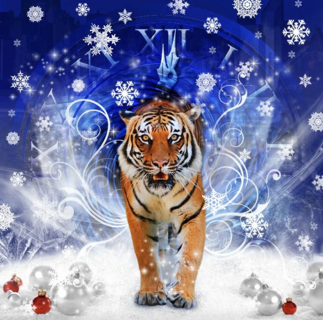 Год обезьяны 2016