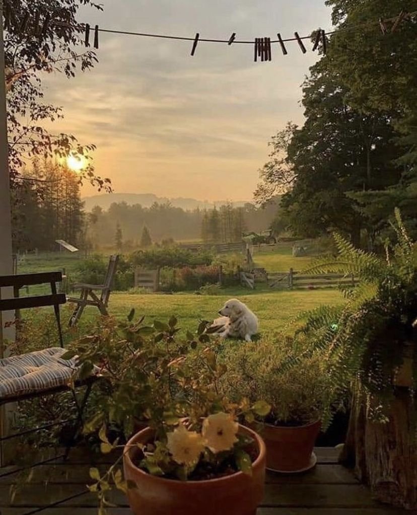 Деревенский дом Марий Эл