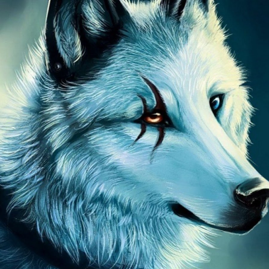 Волк со шрамом на глазу