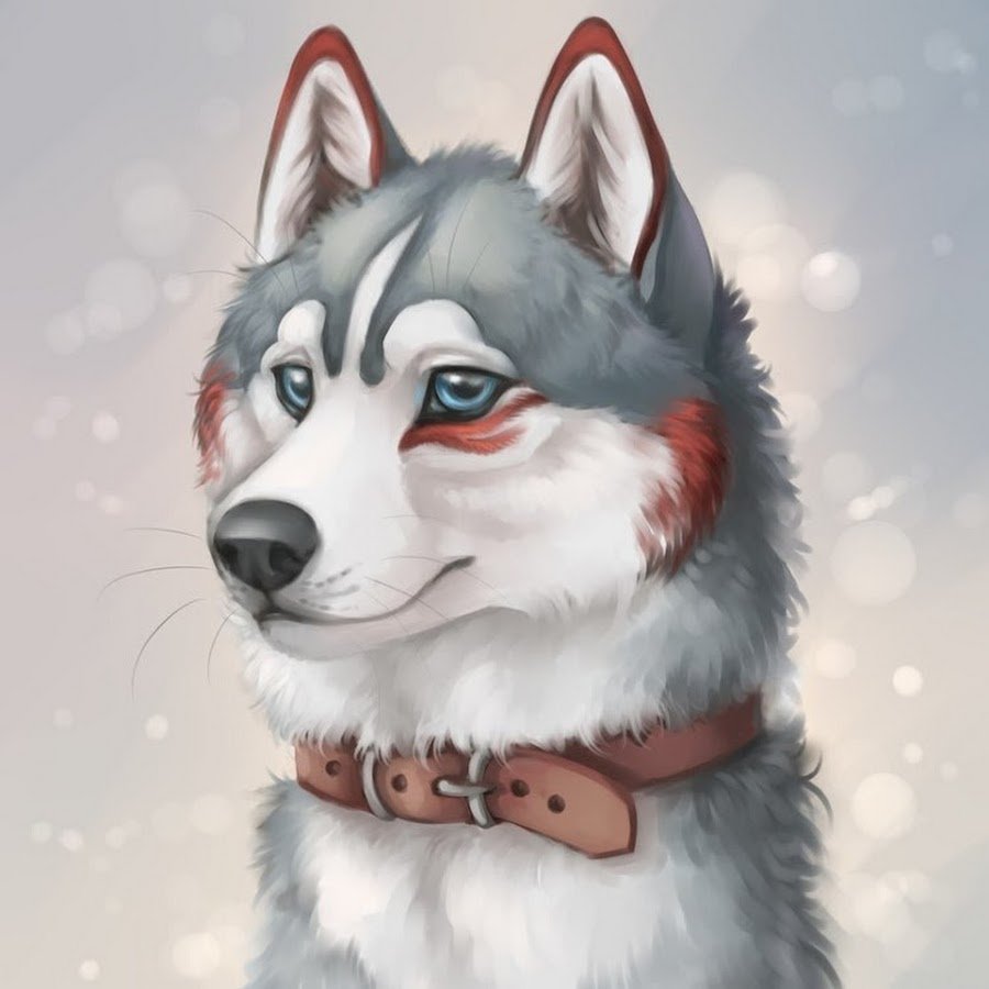 Хаски аниме