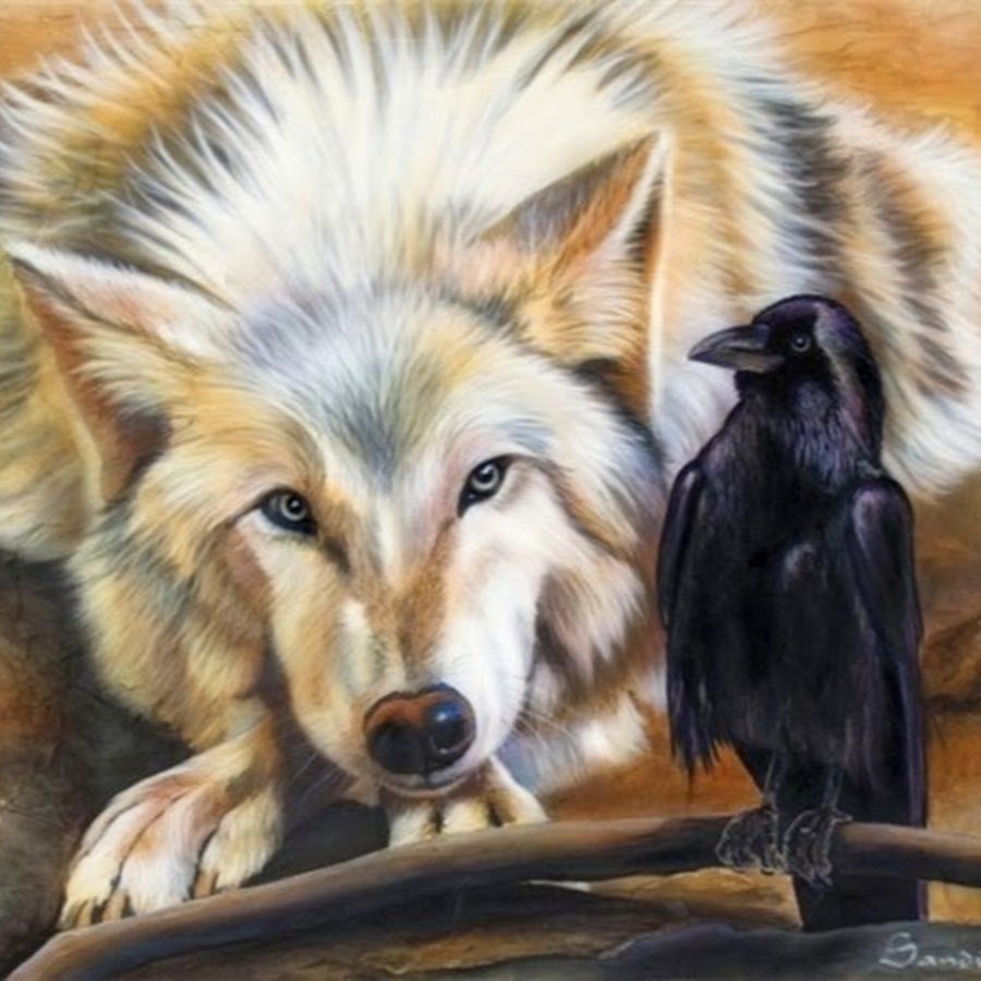 Белый волк и ворон