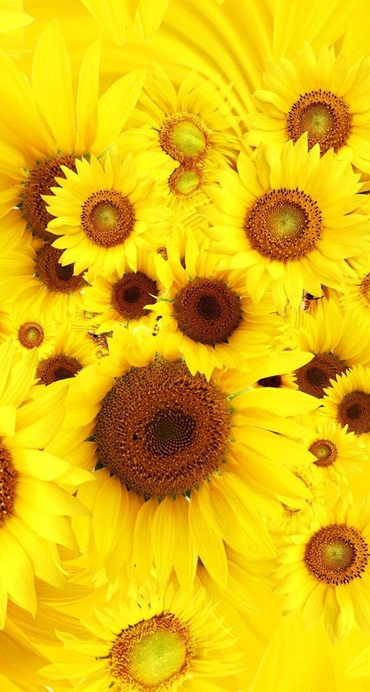 Заставка на рабочий стол смартфона желтое