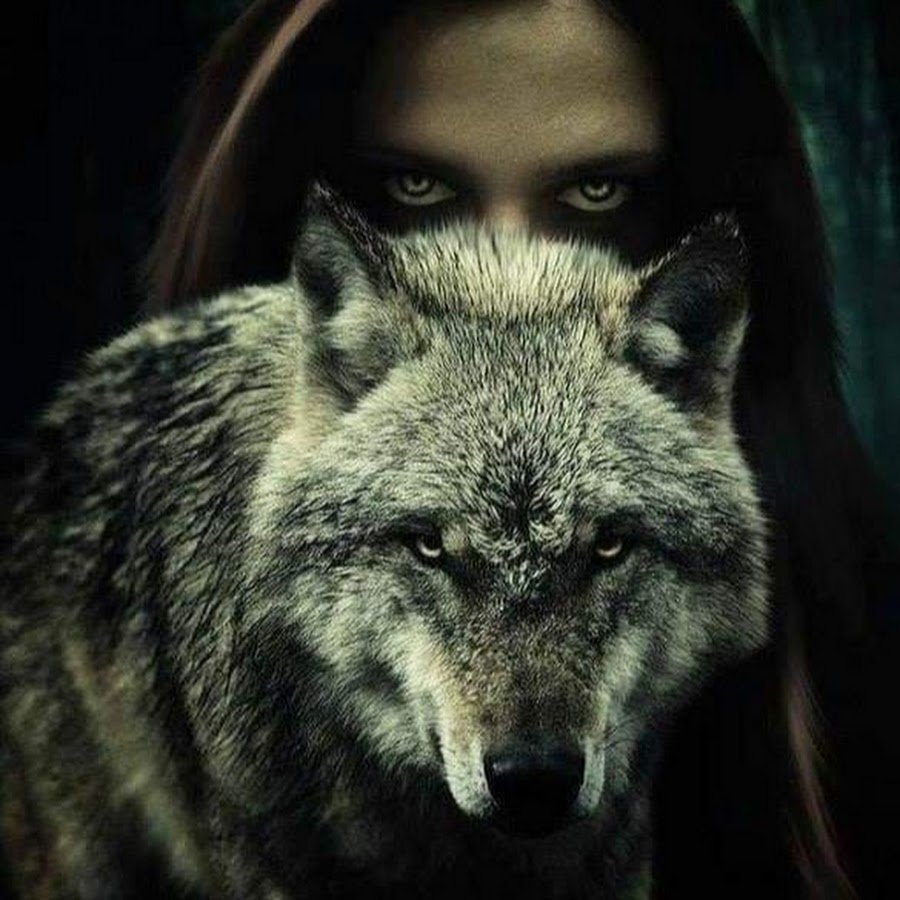 Волчица одиночка