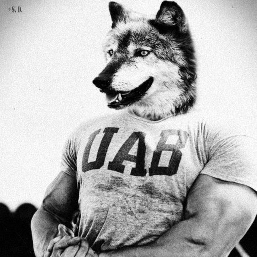 Тело человека лицо волка