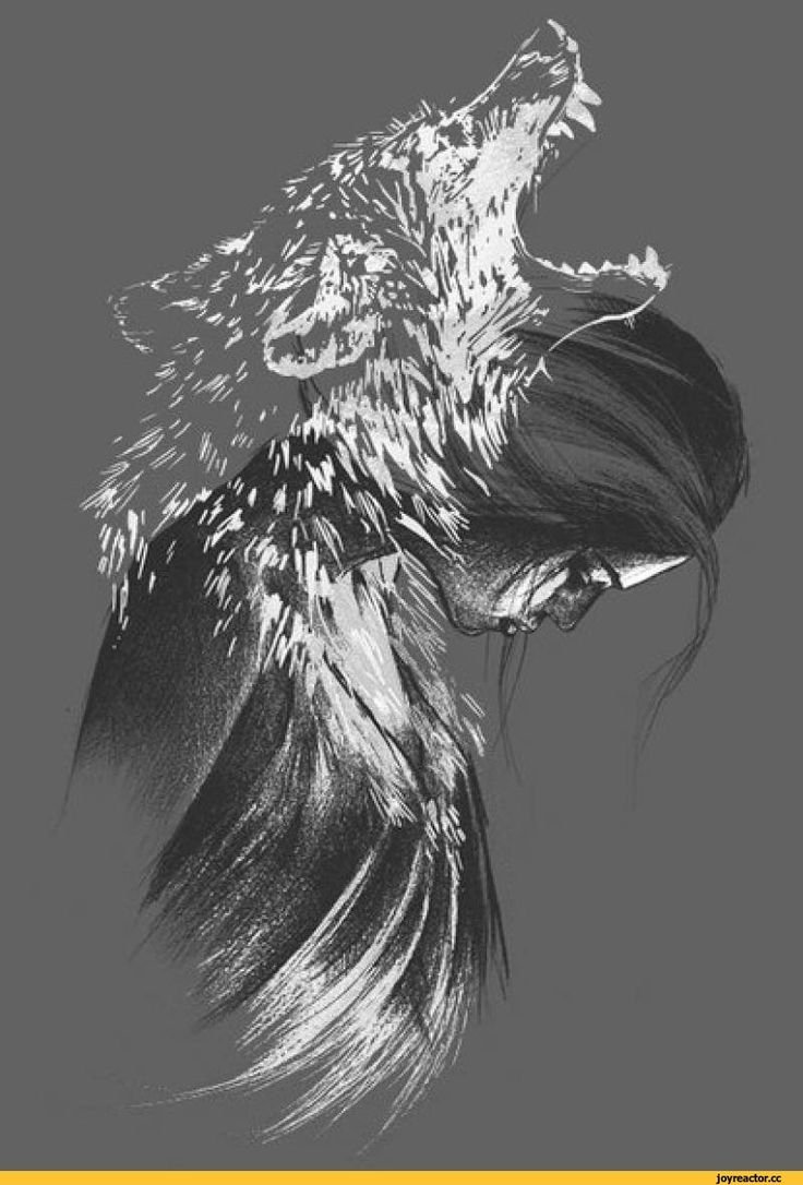 Фото полу лицо волк полу человек фото для авы