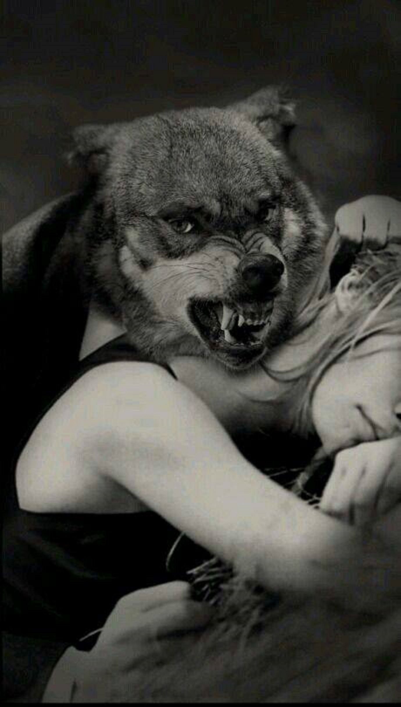 Агрессивные авы. Девушка с волком. Волк обнимает девушку. Волчица и девушка. Мужчина волк.