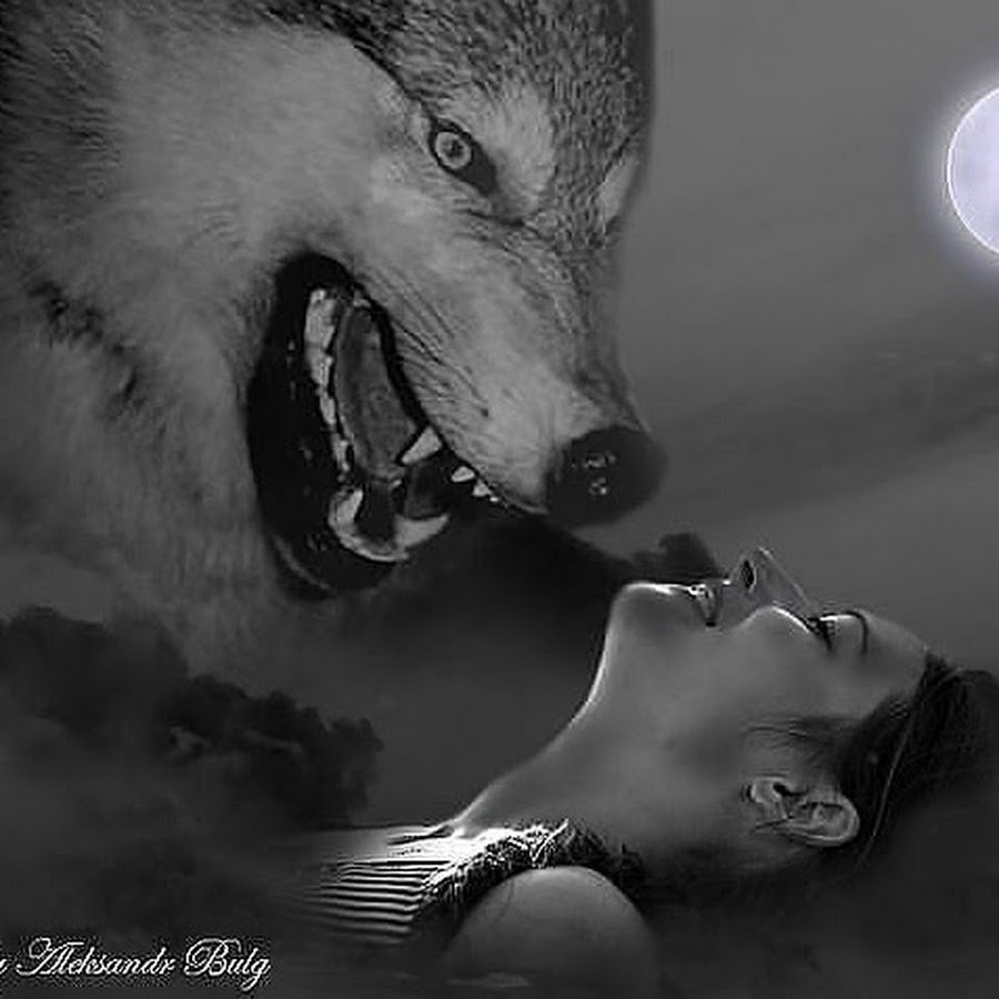 Волчица одиночка женщина