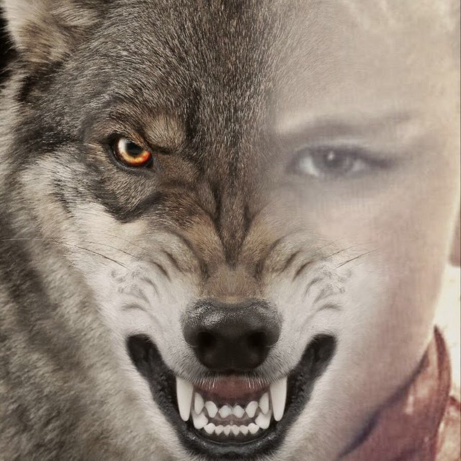 Человекоподобный волк