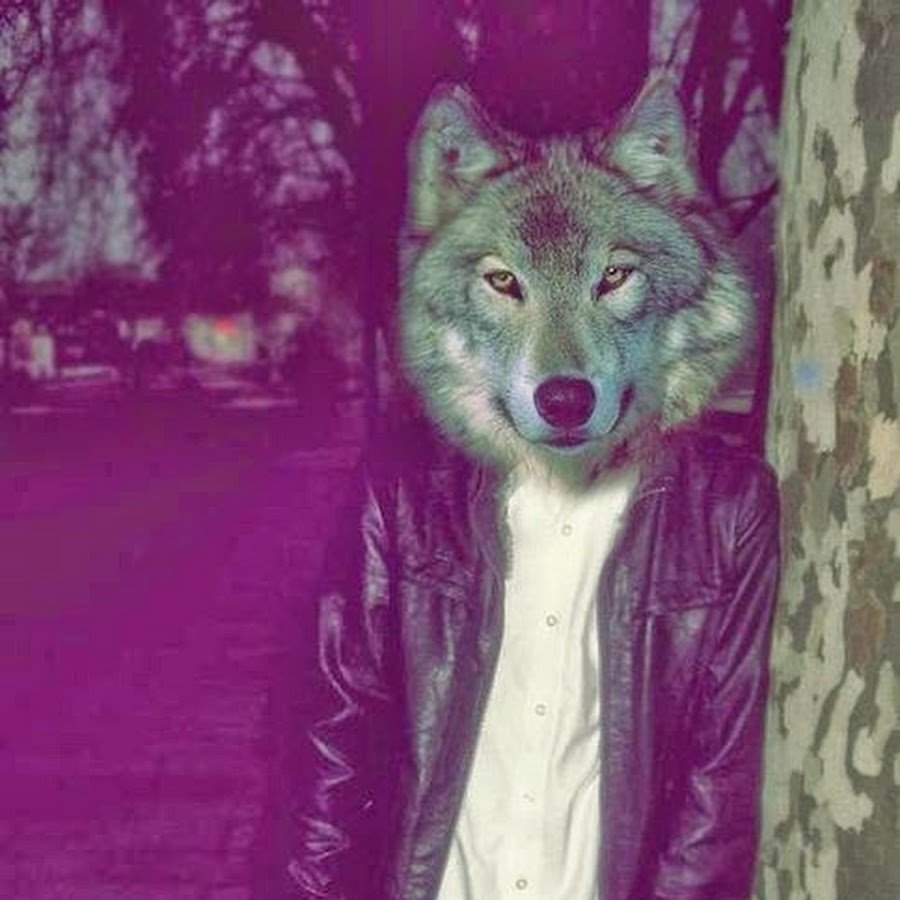 Человек в маске волка