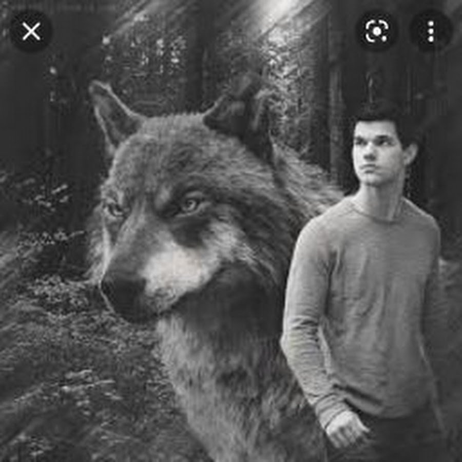 Волк Вервольф