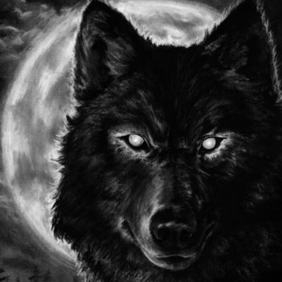 Волк аватар