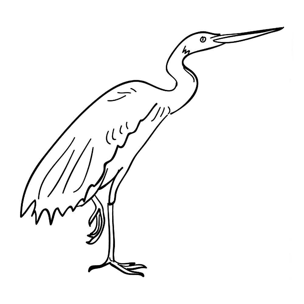 Цапля раскраска