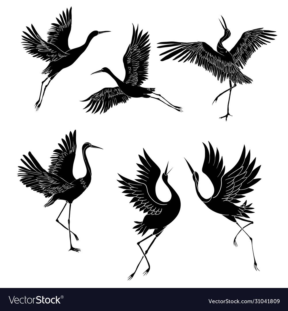 Цапля черно белая картинка