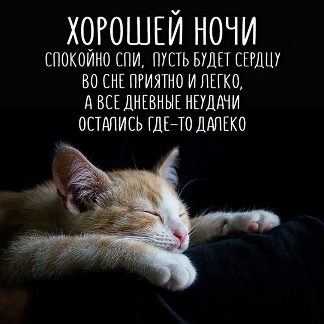 Спокойной рабочей ночи