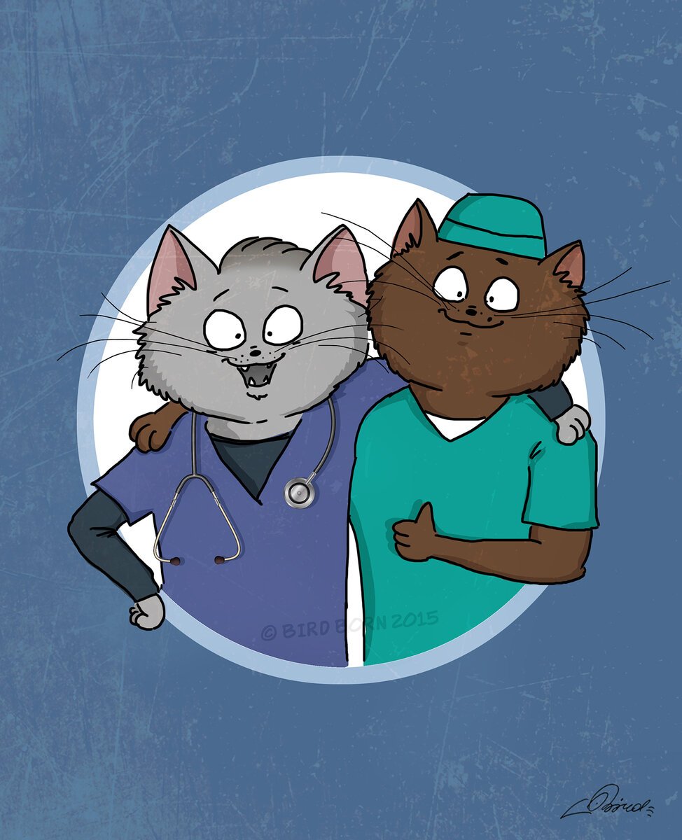 Кошачий доктор арт