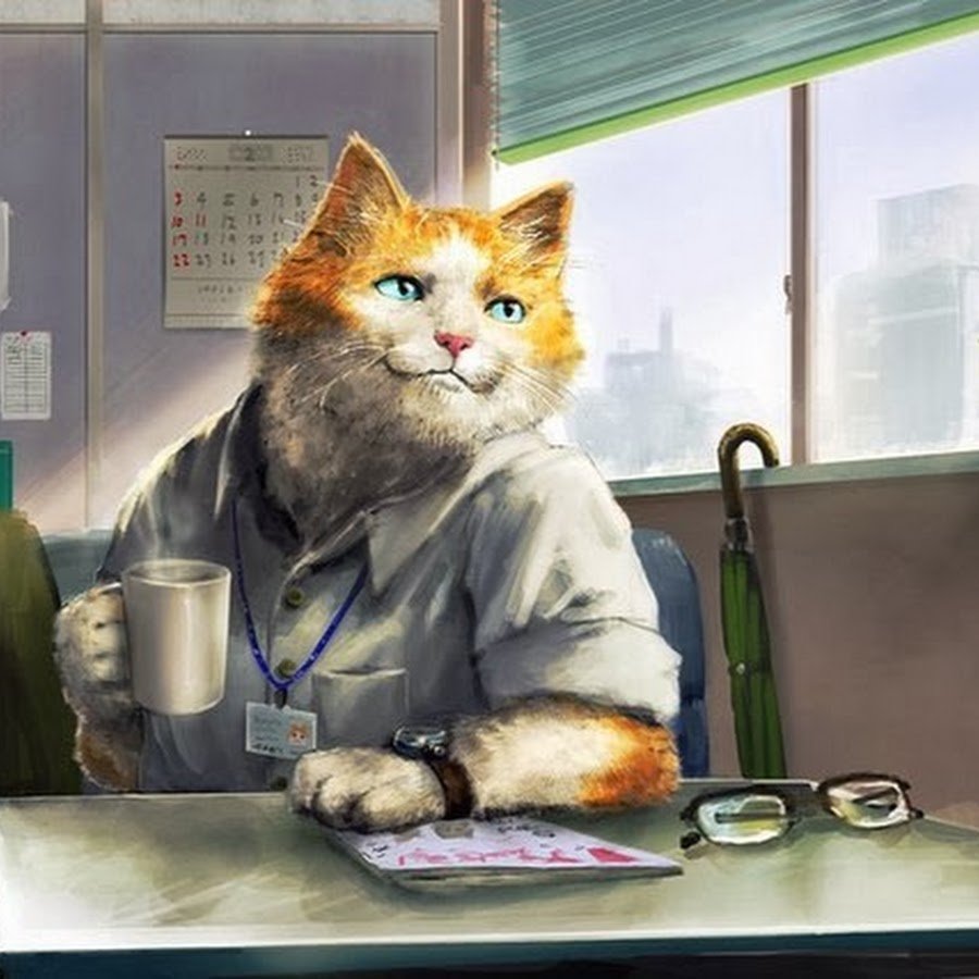 Кот доктор картинки