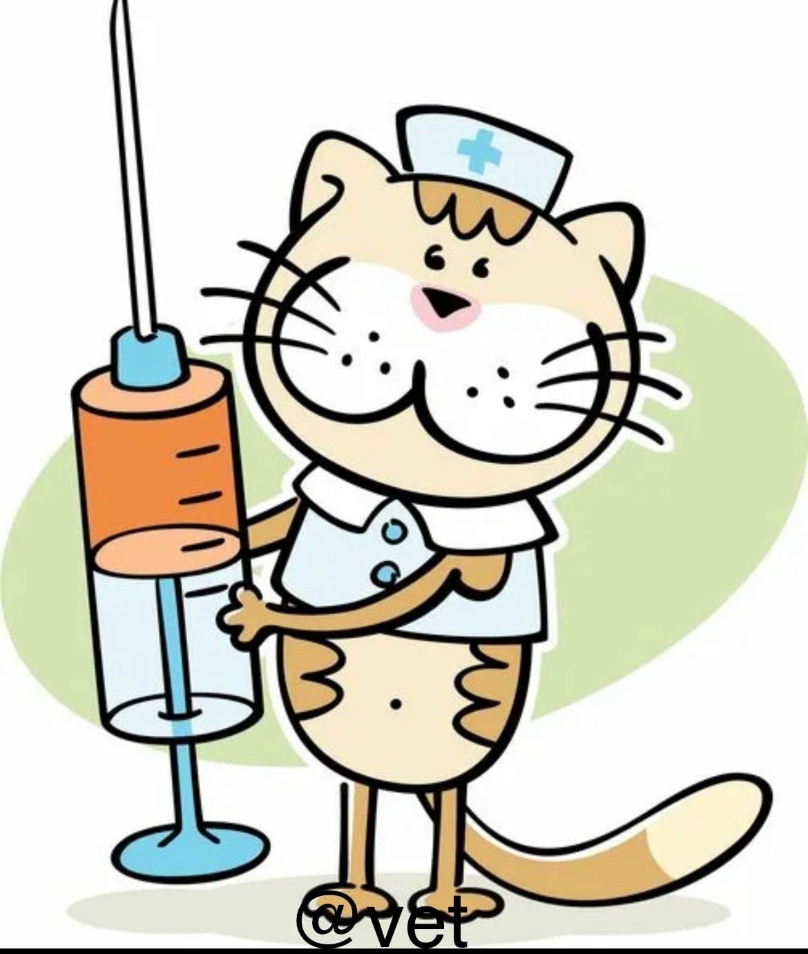 Котик Пушин доктор