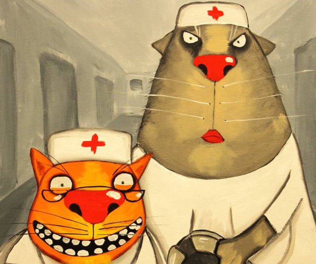 Доктор кто кот