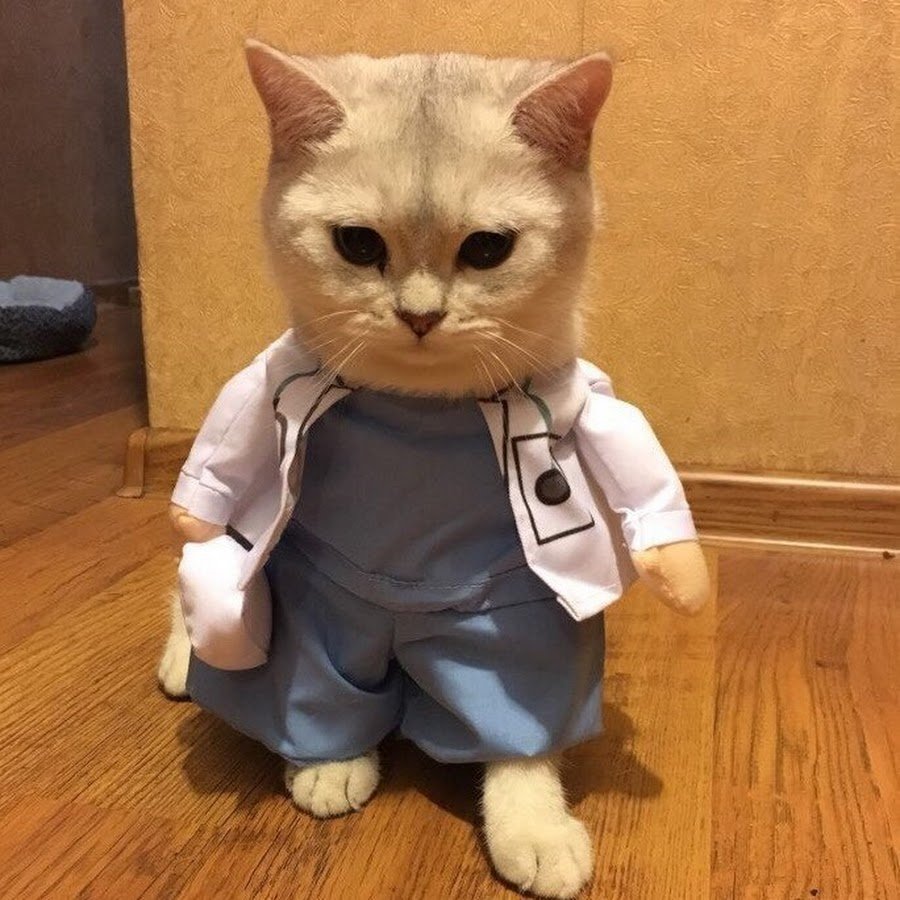 Кровавые котики и сердечки