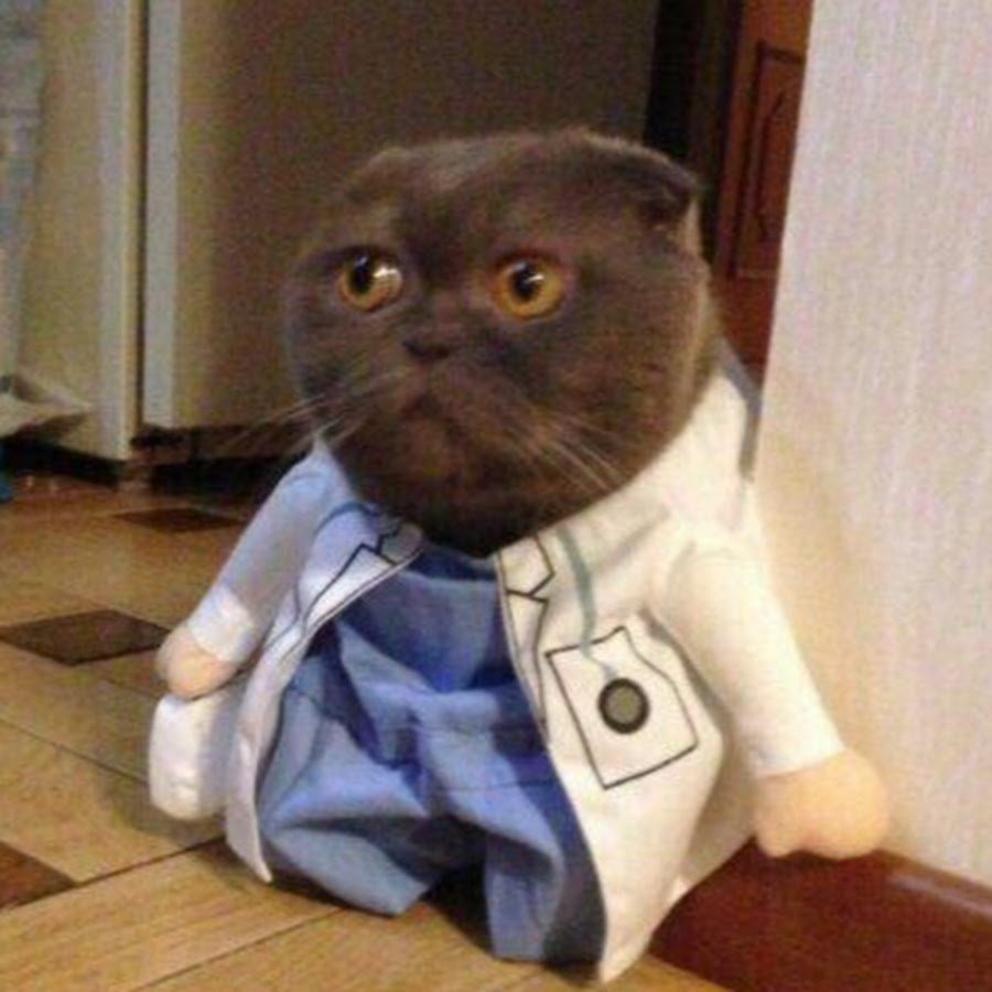 Кошачий доктор