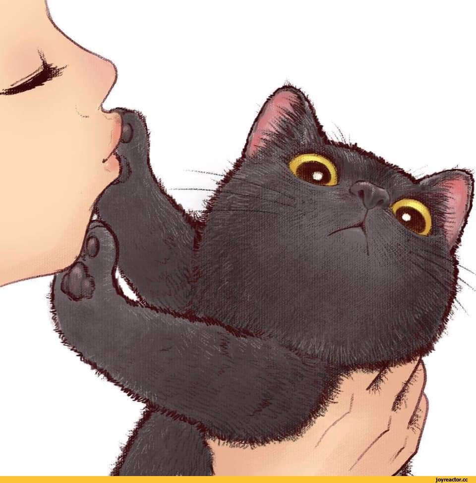 Котики поцелуйчики