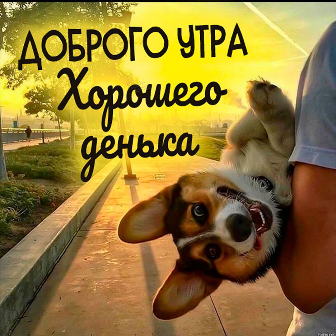 Открытки с добрым утром прикольные