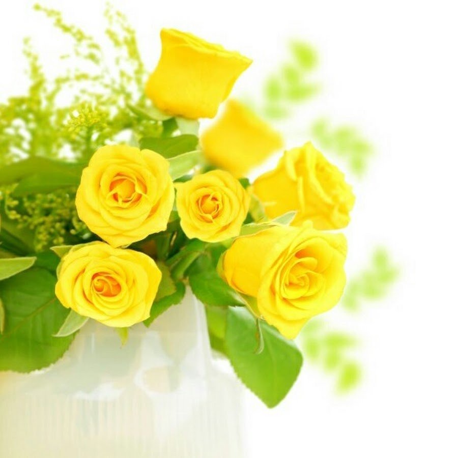 Поздравления с днём рождения Рите