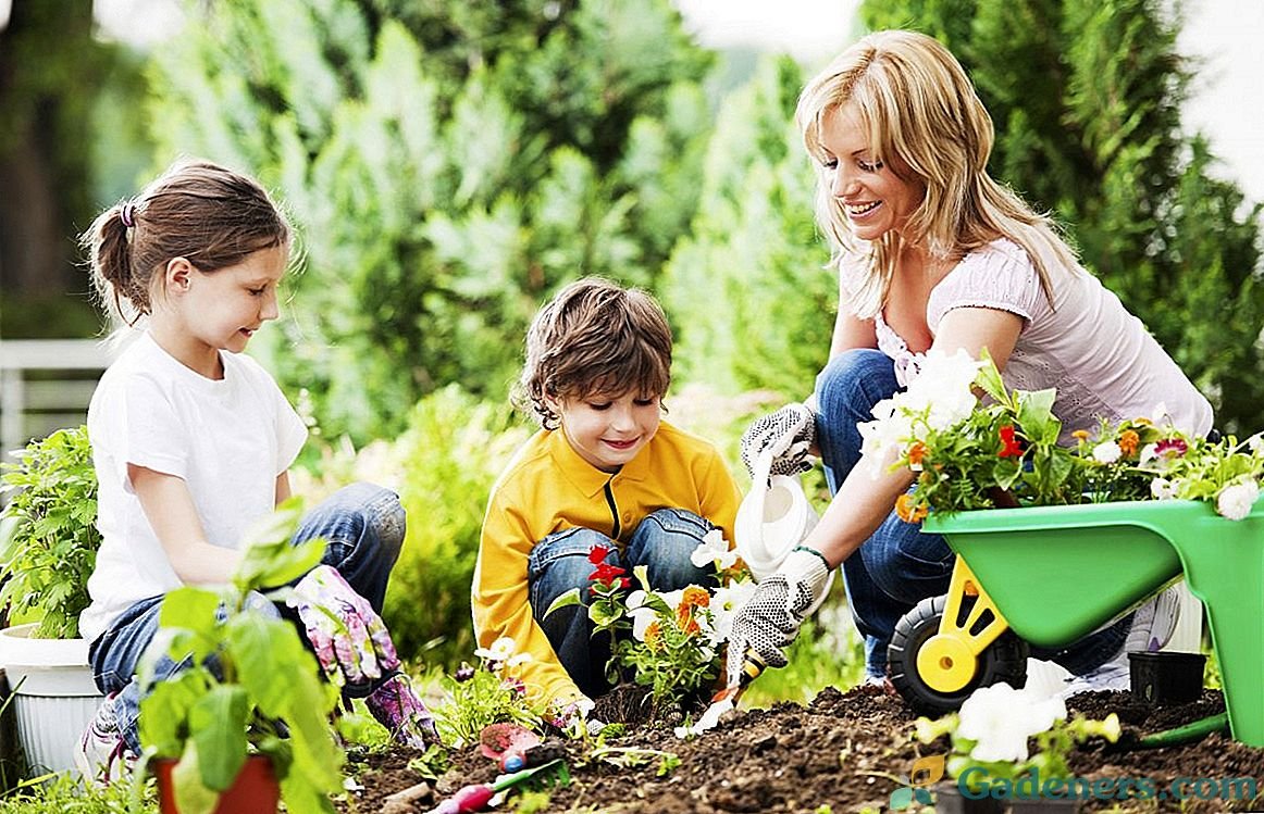 Огород для детей
