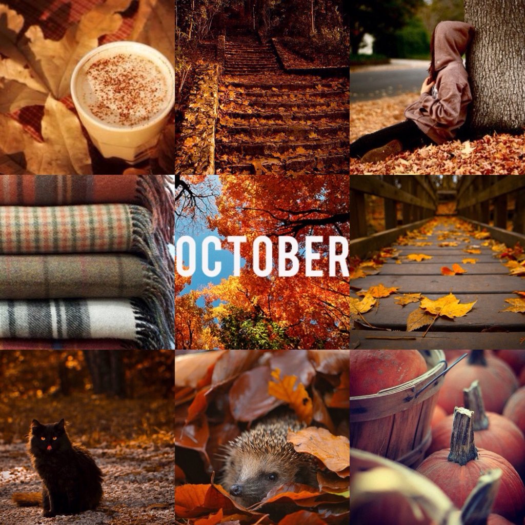 Привет октябрь