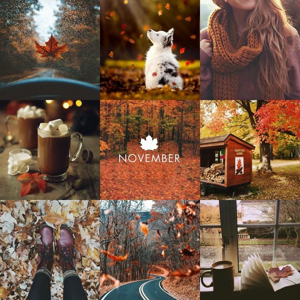 Ноябрьский коллаж