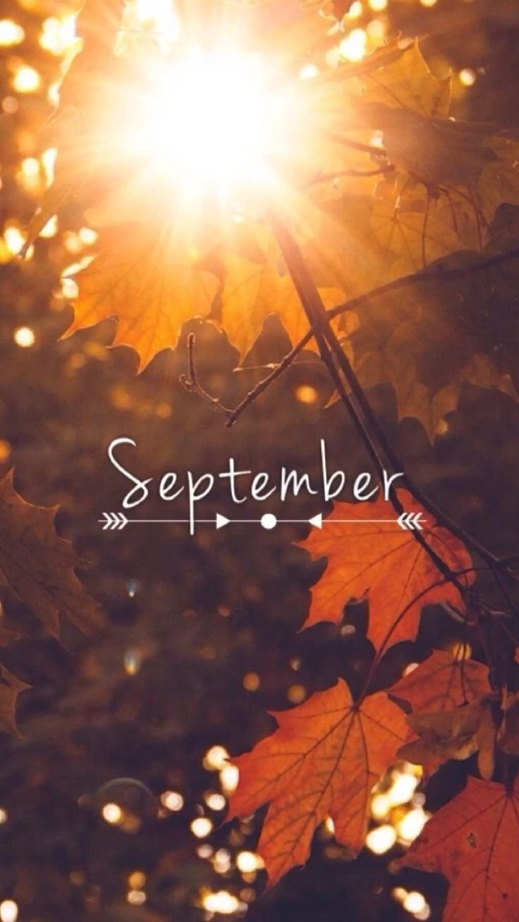 Стильные осенние обои