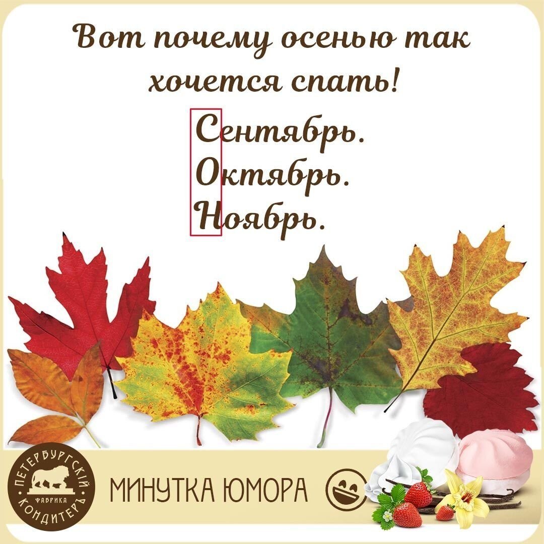 Осенью хочется