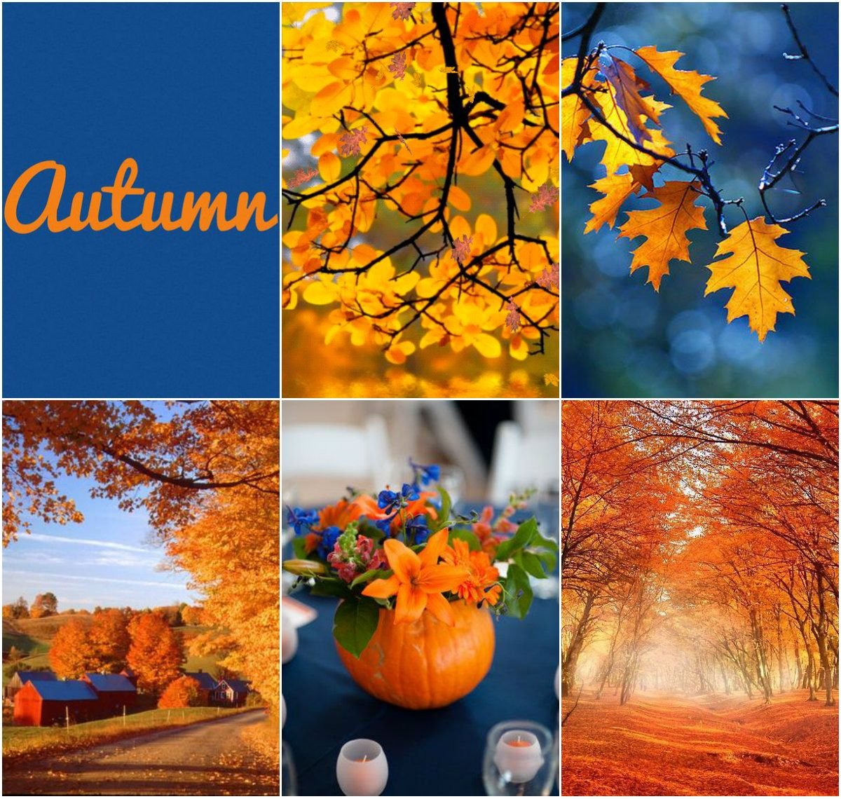 Позитивного осеннего дня