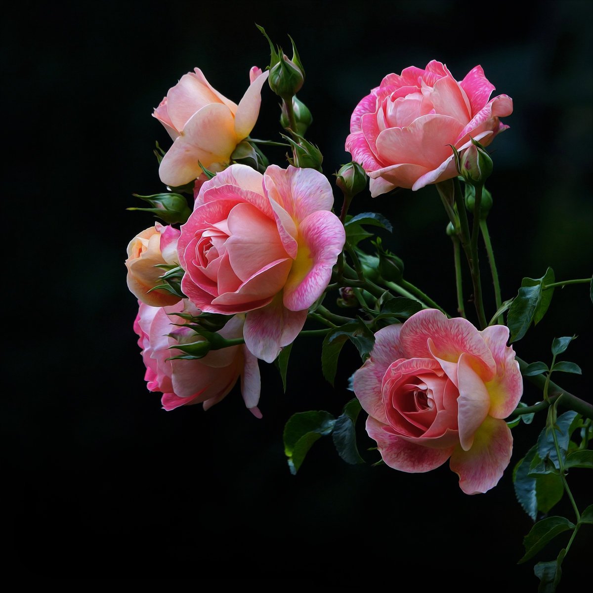 Чудесного вечера с чашечкой кофе