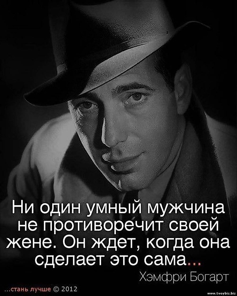 Умные цитаты