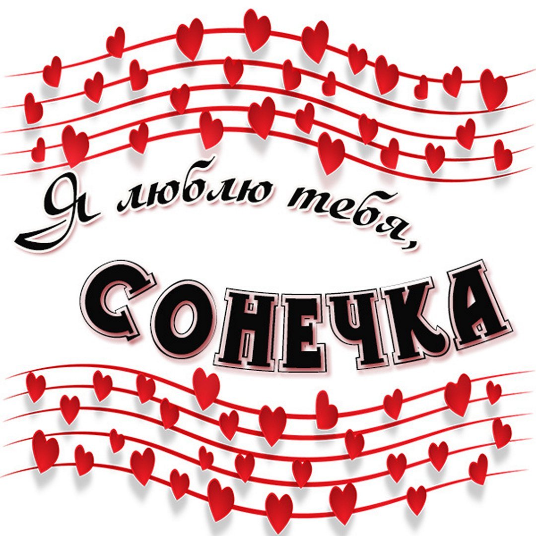 Кошки поздравляют с днем рождения