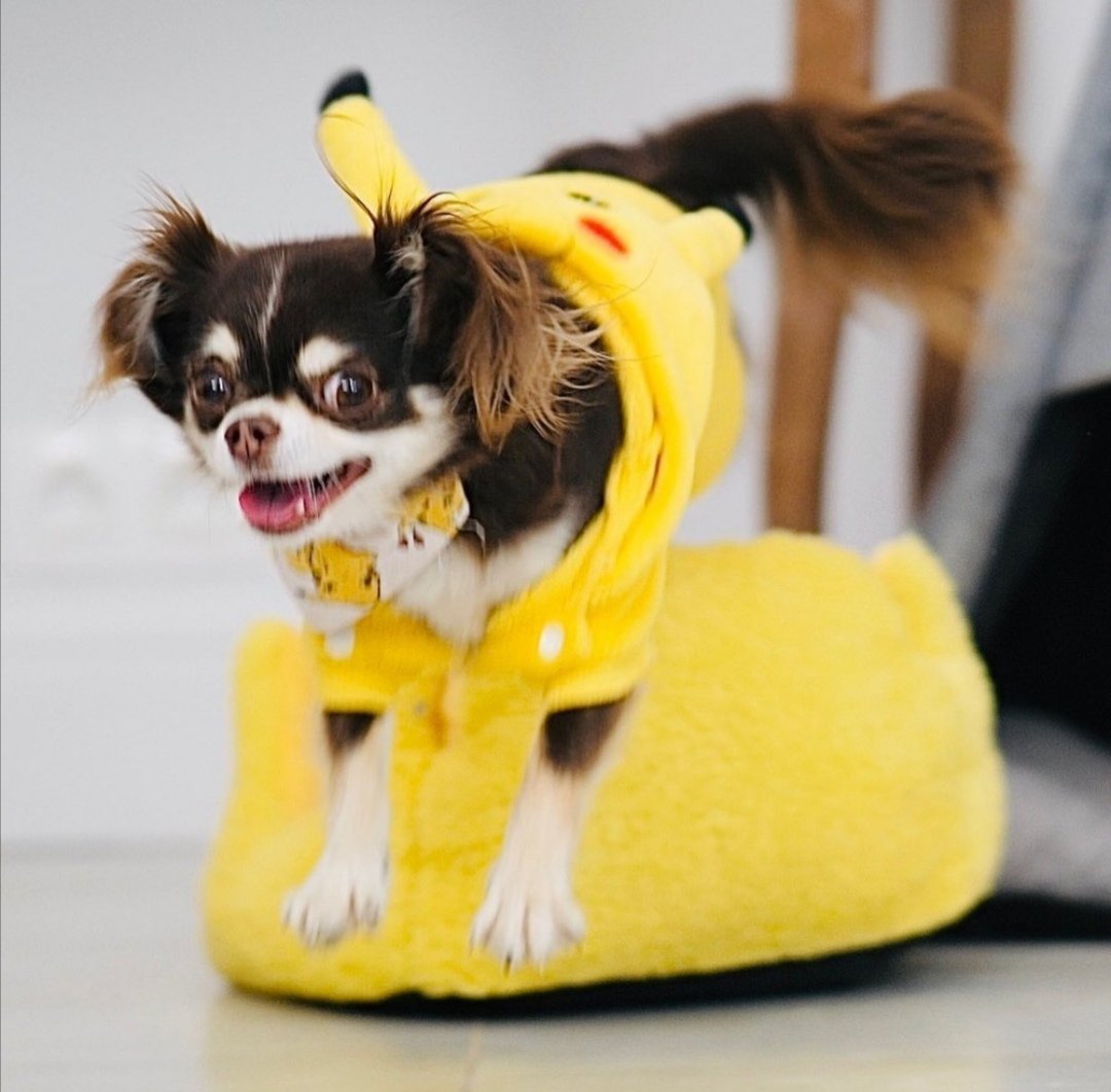 3в модель Пикачу