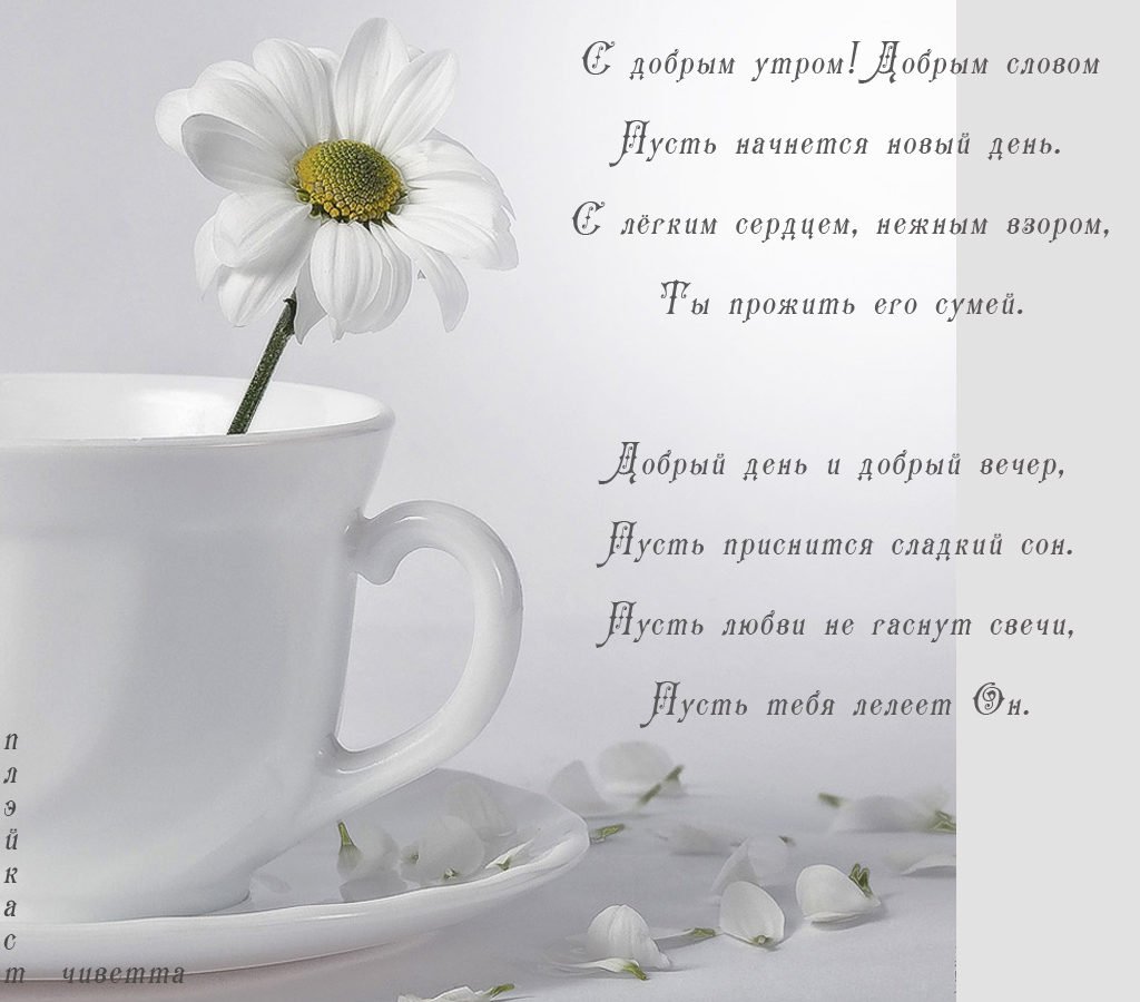 Открытки с добрым утром в нежных тонах