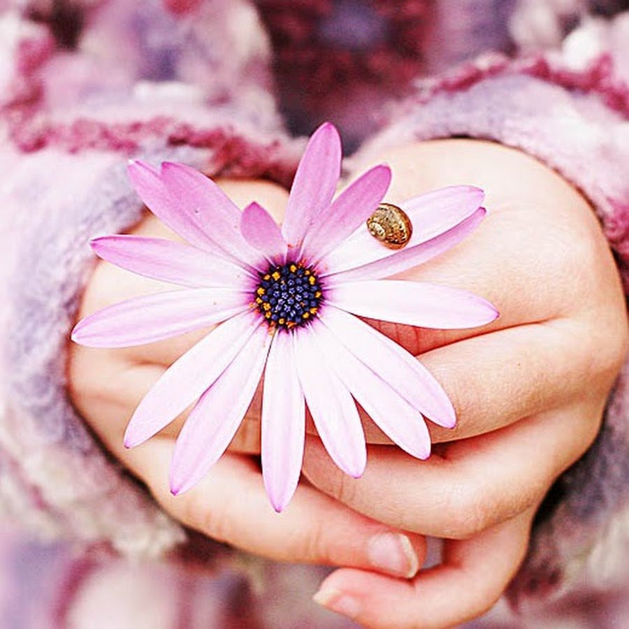 Доброе утро Светлана