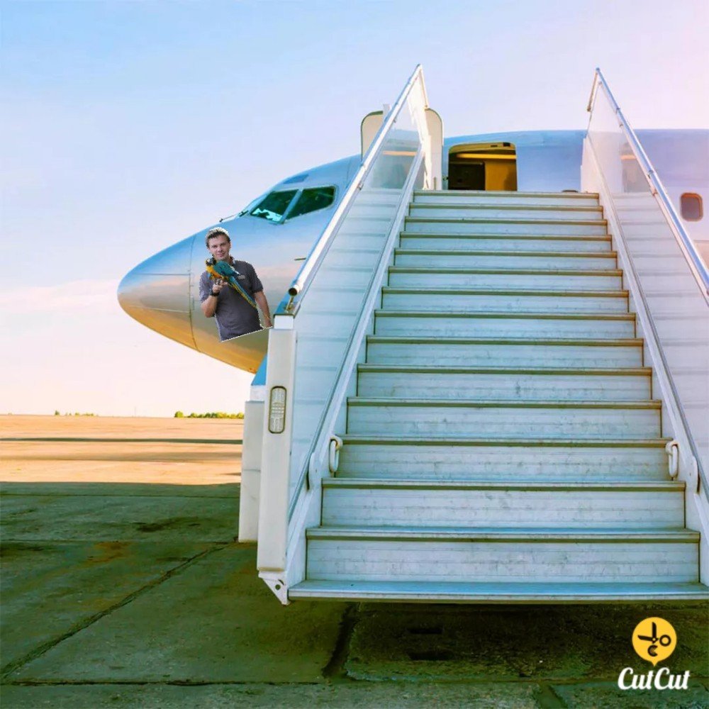 Лестница самолета