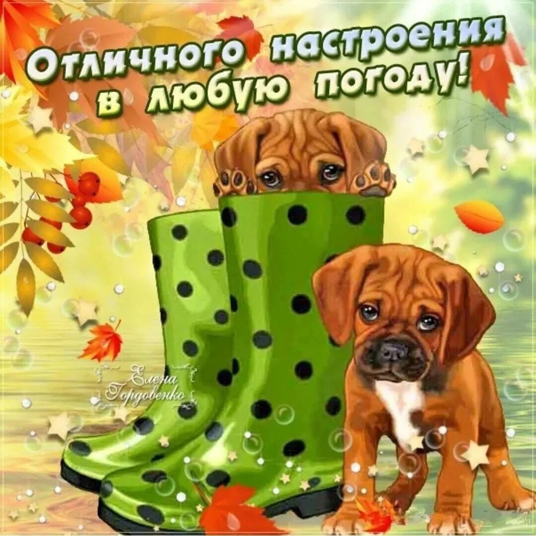 Солнечного настроения