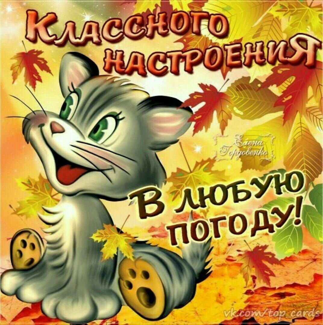 Хорошего настроения в любую погоду