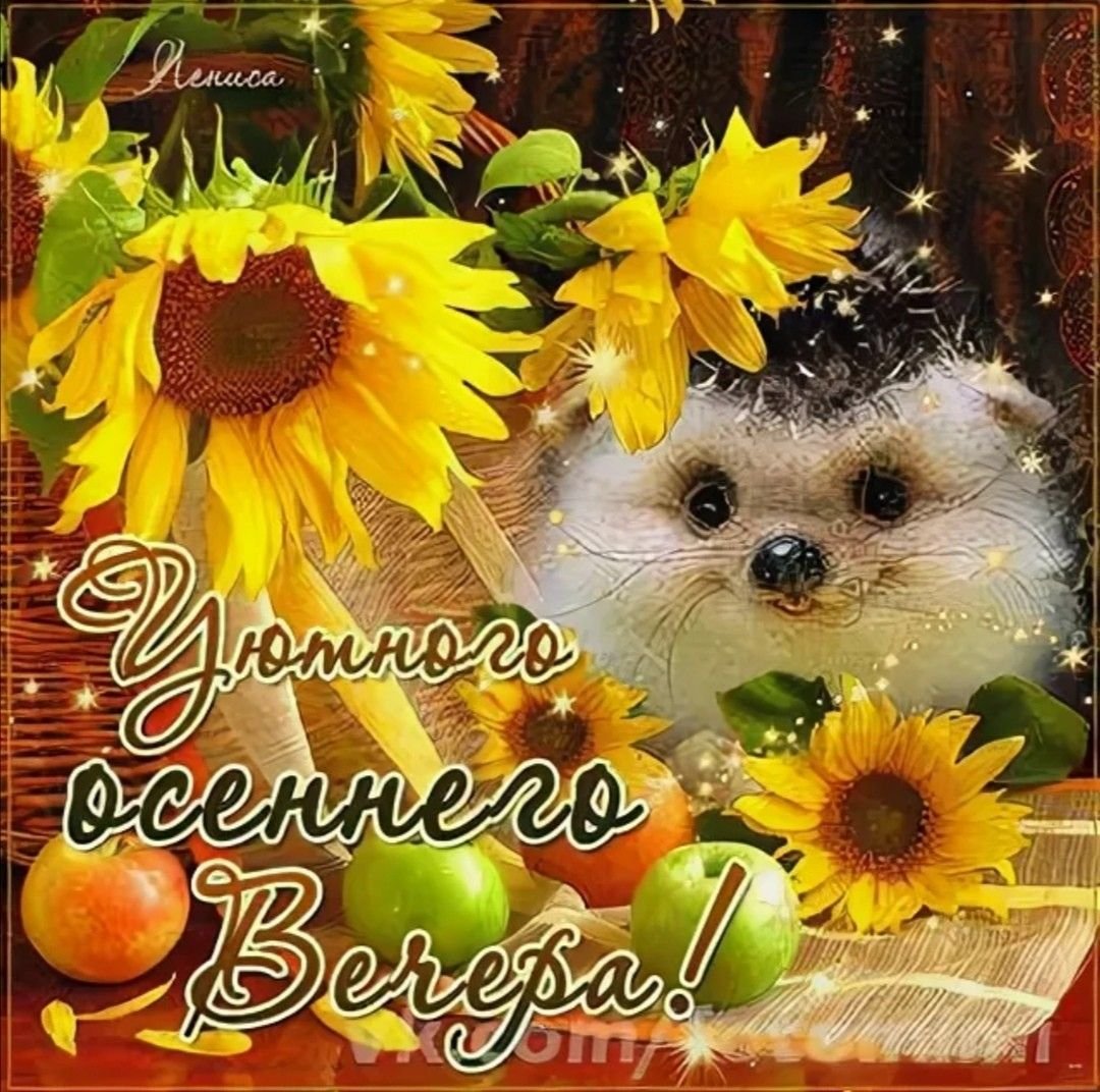 Доброго теплого дня и хорошего настроения