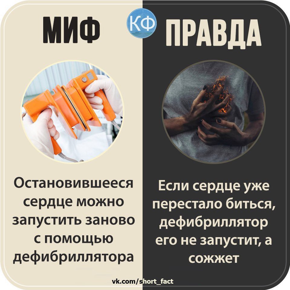 Мифы о волосах правда и вымысел