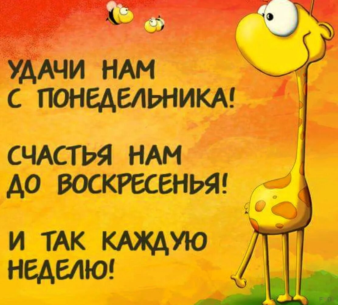 Как поднять настроение картинки смешные