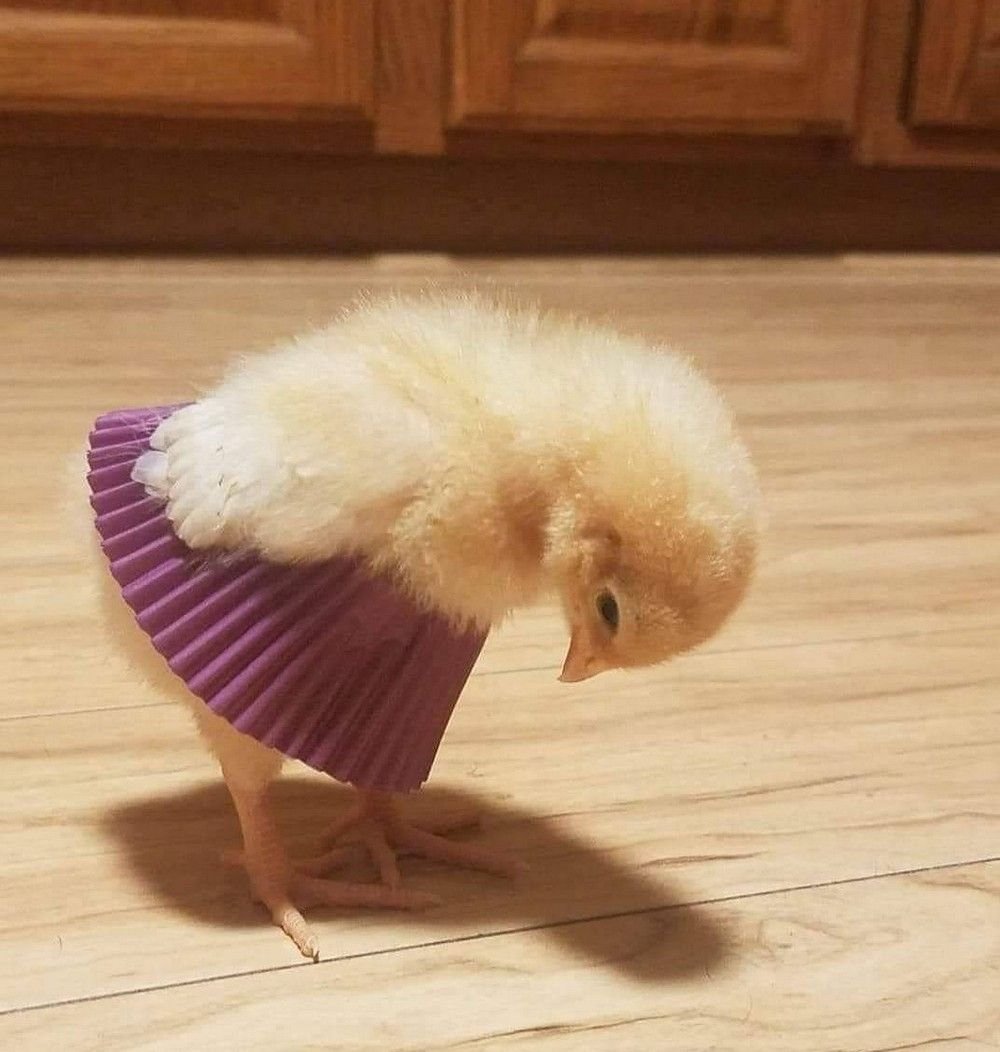 Афоризмы про настроение